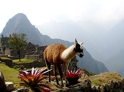 Peru, Machu Picchu