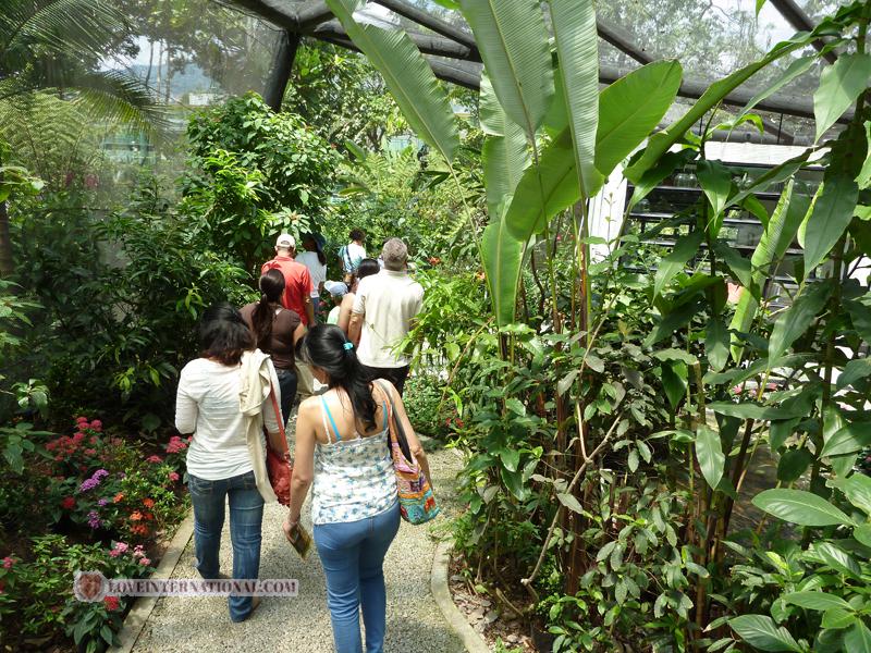 medellin-women-54